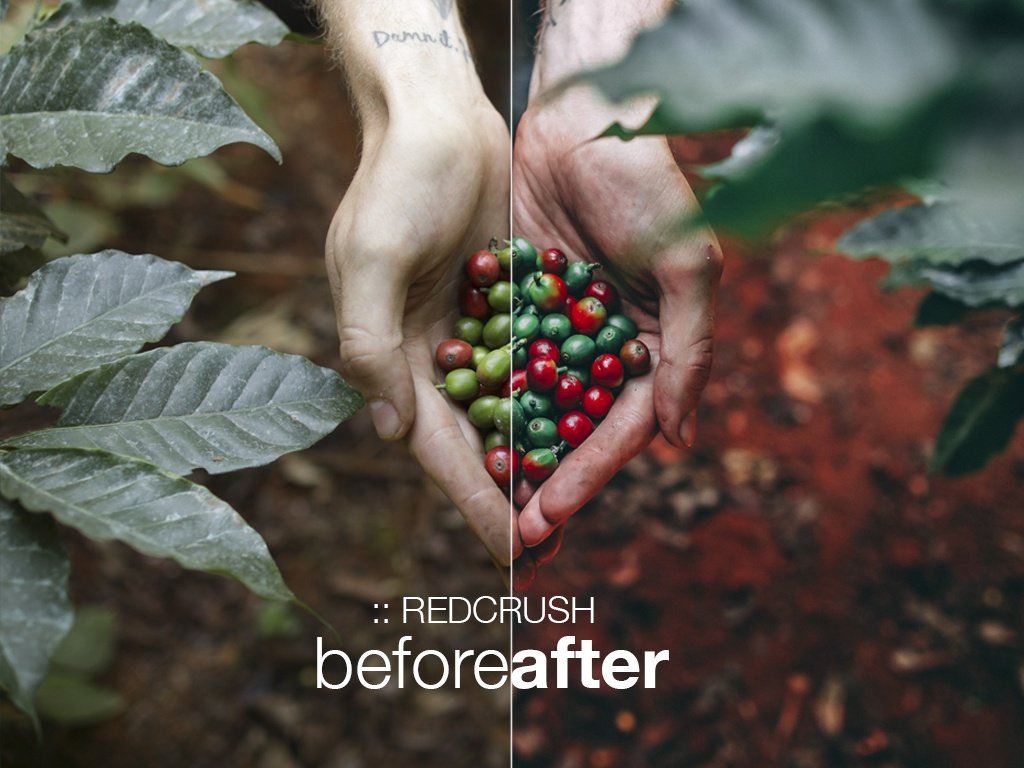 PM Lightroom V1 Presets
